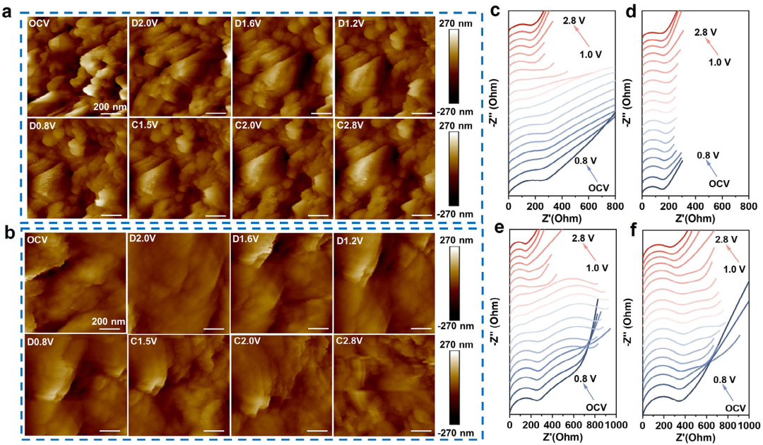 原位TEM助力揭示不饱和二硫化钼诱导的超快钠离子动力学