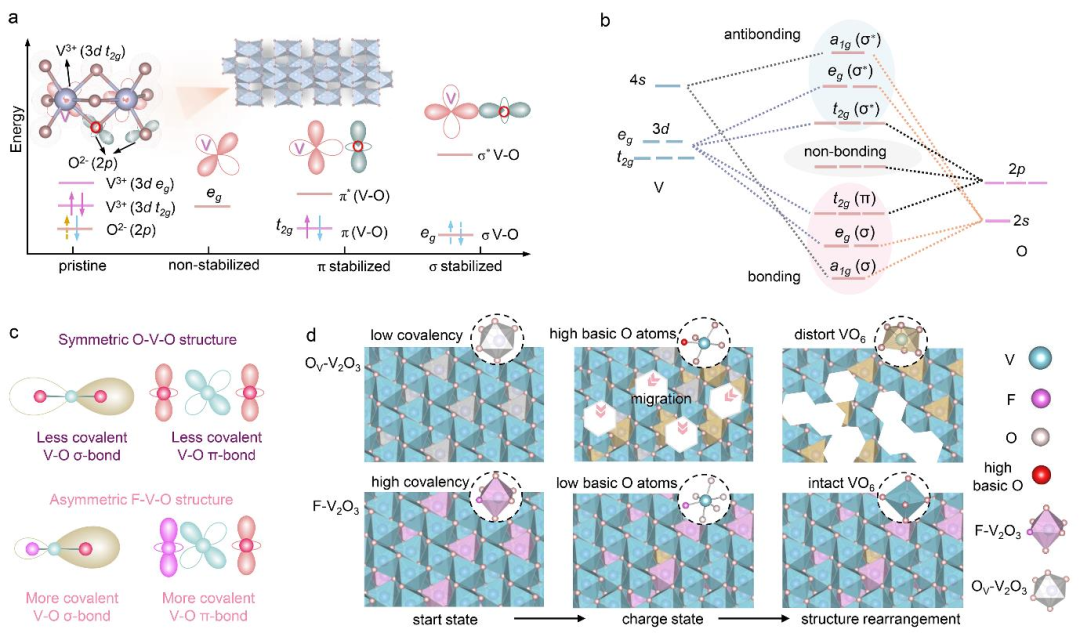 Nature子刊 | 借助泽攸科技原位TEM助力水系锌离子电池高电压稳定机制研究