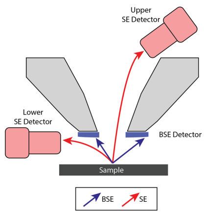 黑白之间的微观真相：扫描电镜与原位SEM如何揭示材料结构与演化