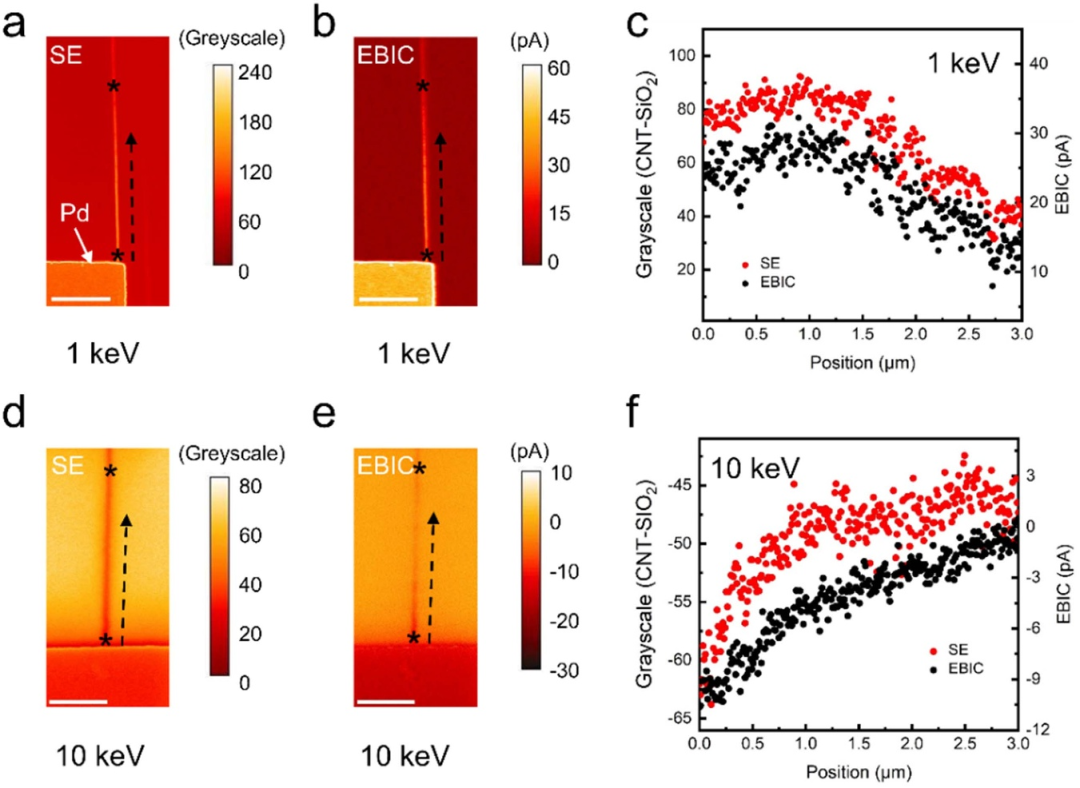 由二次电子发射调控的碳纳米管器件电子束诱生电流成像中的衬度反转