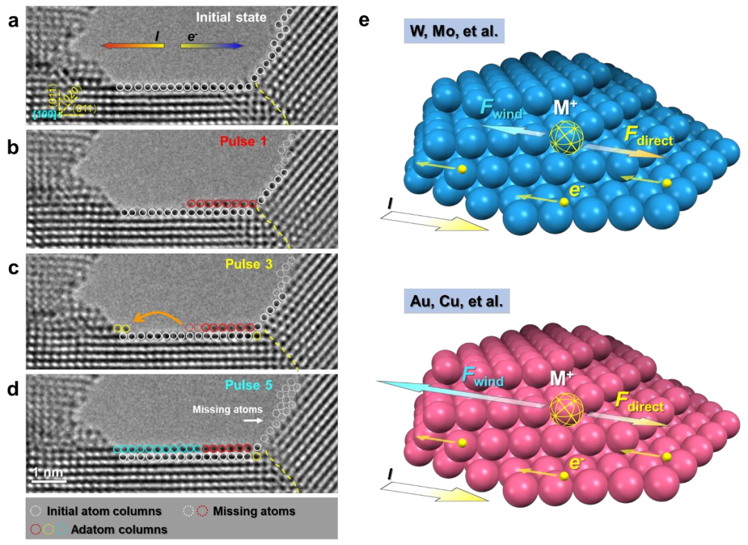 Nature子刊 | 基于泽攸科技原位TEM技术的亚10纳米金属互连线逆风电迁移观测