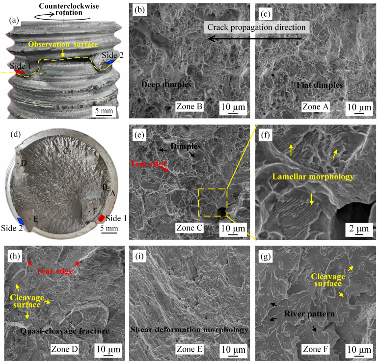 工业同步电机转子磁极螺钉的微观组织特征与断裂行为研究