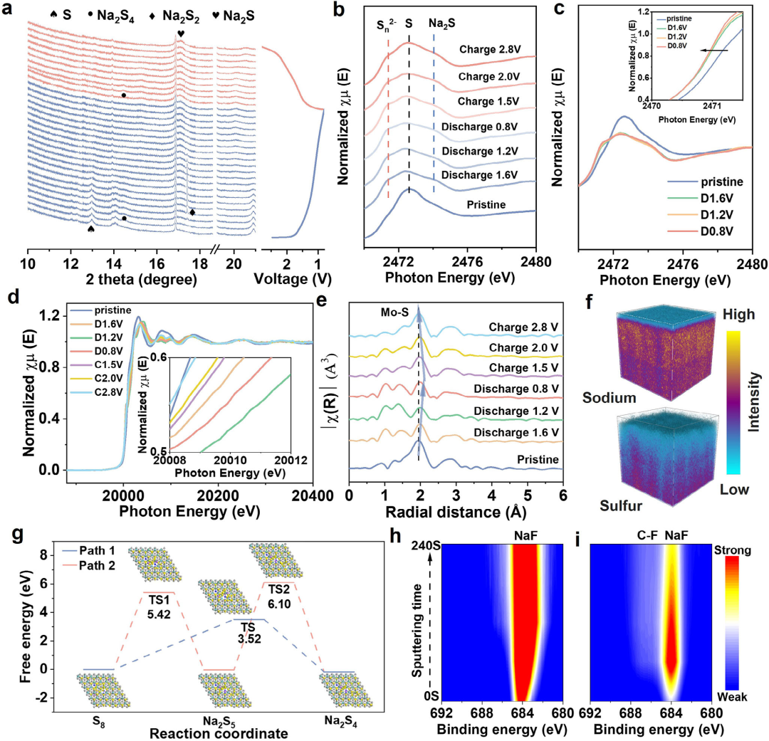 原位TEM助力揭示不饱和二硫化钼诱导的超快钠离子动力学