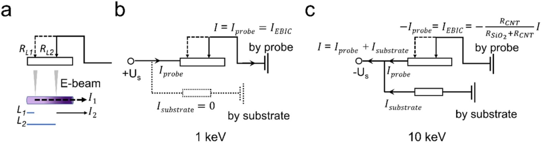 由二次电子发射调控的碳纳米管器件电子束诱生电流成像中的衬度反转