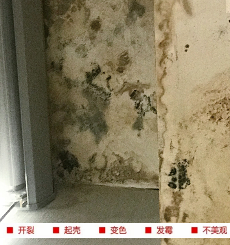 你家的吊顶怕水吗?