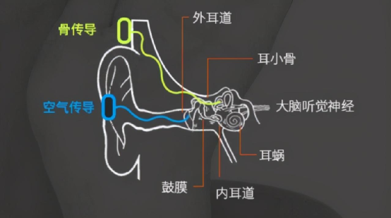 人刚死亡时还能听见声音吗