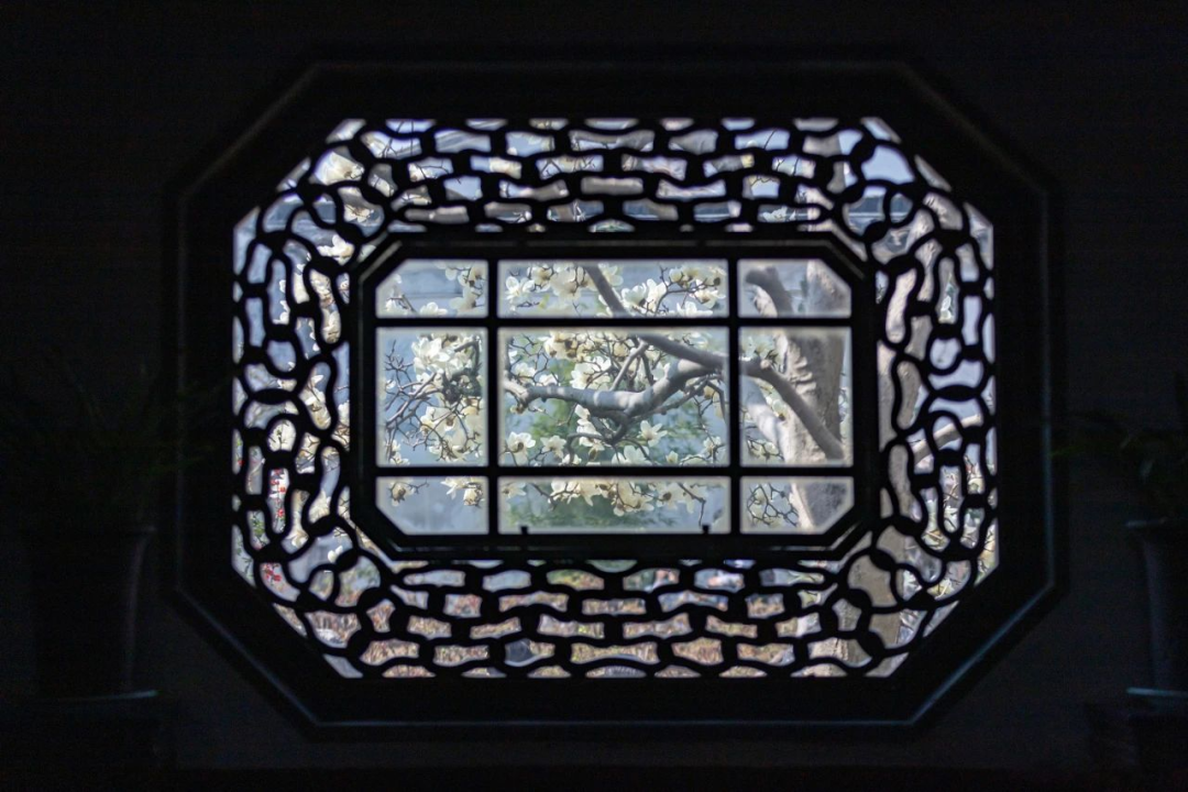 诗心画眼探寻苏州古典园林木窗的匠心和工艺