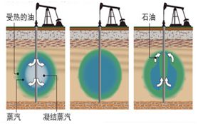 常规原油和页岩油