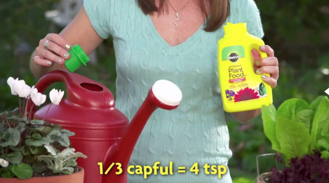 傻傻分不清 养花种菜施肥小百科 这些肥料都有什么用