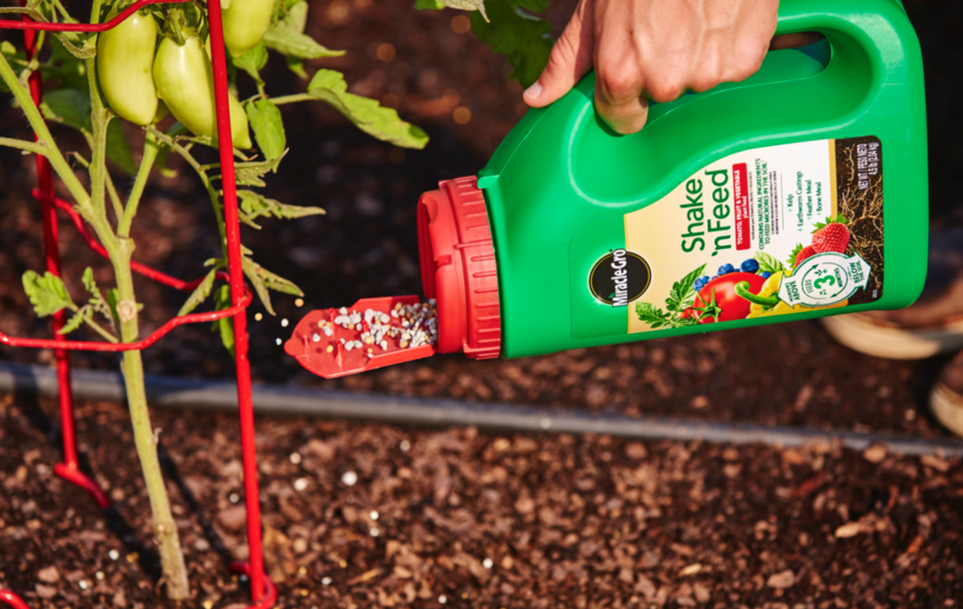 傻傻分不清 养花种菜施肥小百科 这些肥料都有什么用