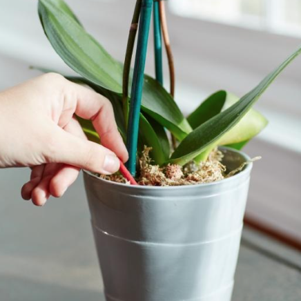 傻傻分不清 养花种菜施肥小百科 这些肥料都有什么用