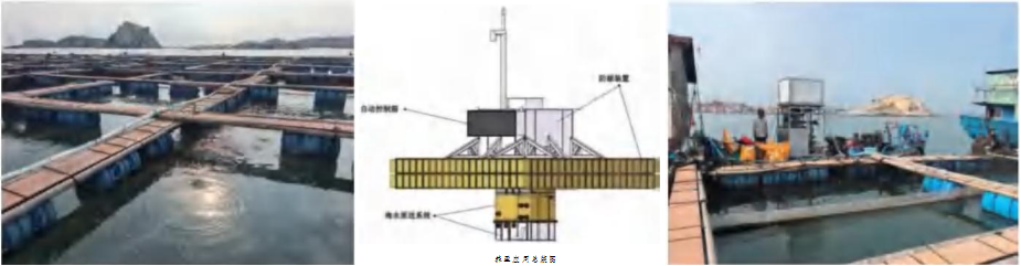海洋科创“五链融合”推进活动成果 |系列② 深远海养殖装备
