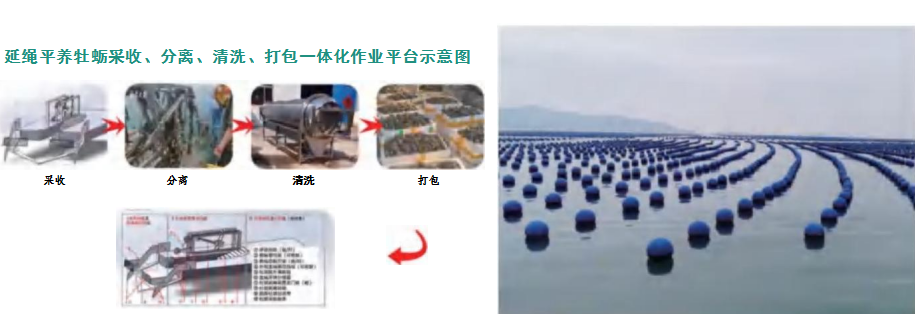 海洋科创“五链融合”推进活动成果 |系列① 海洋智能装备