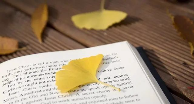 中职升大专广西学校-比较好的职业技术学校有哪些-有名气的高职学校