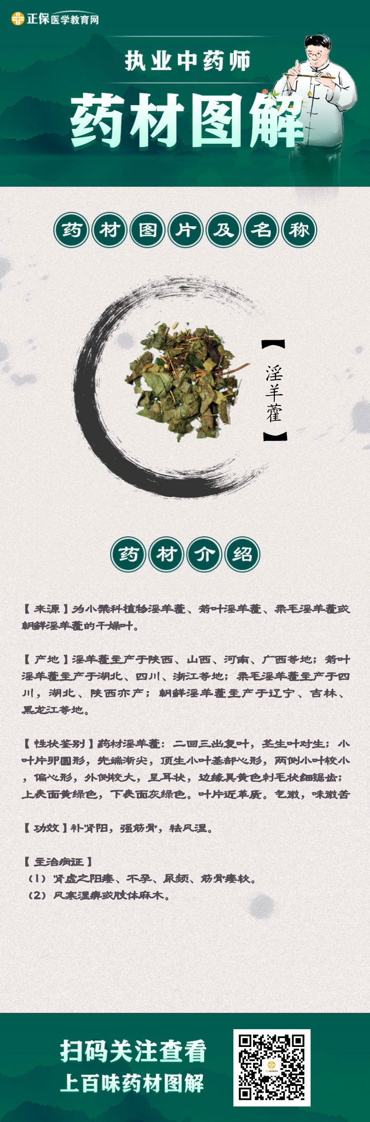 【淫羊藿】药材图解，每日学会一味药