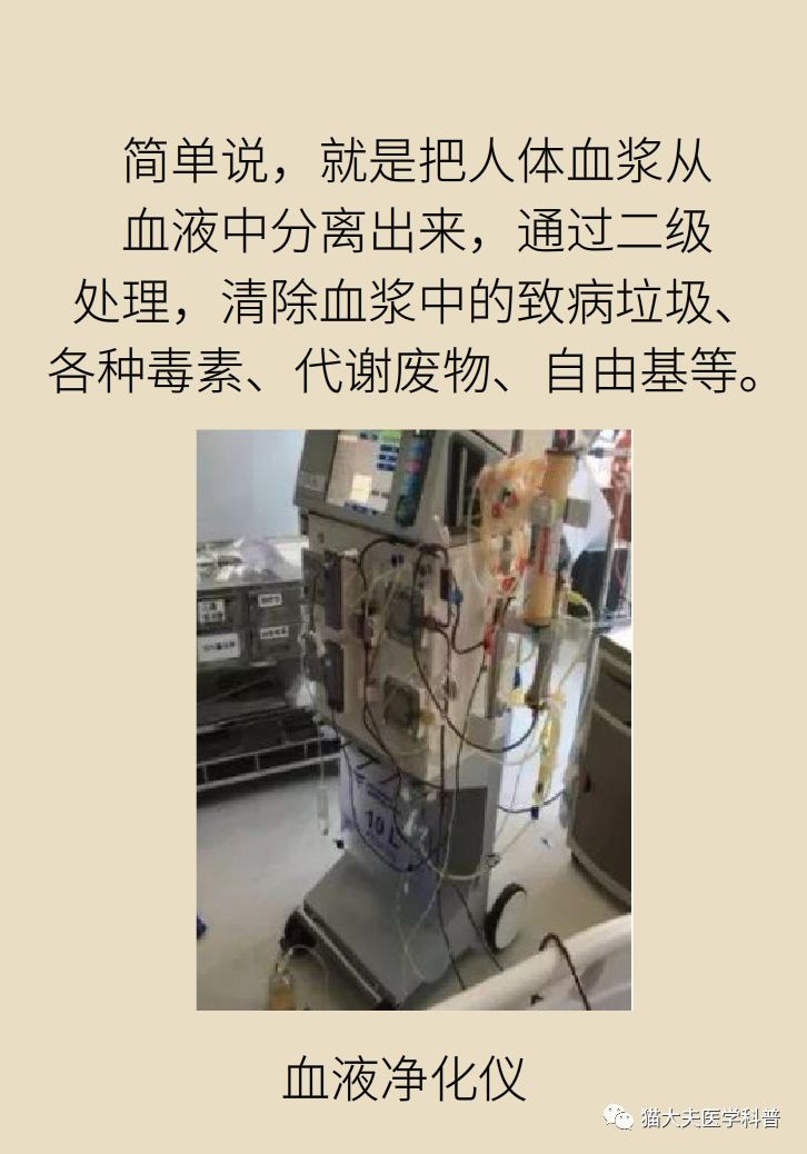 40歲男子身上抽出了3瓶油脂！給血管「添堵」的事兒快打住 寵物 第13張