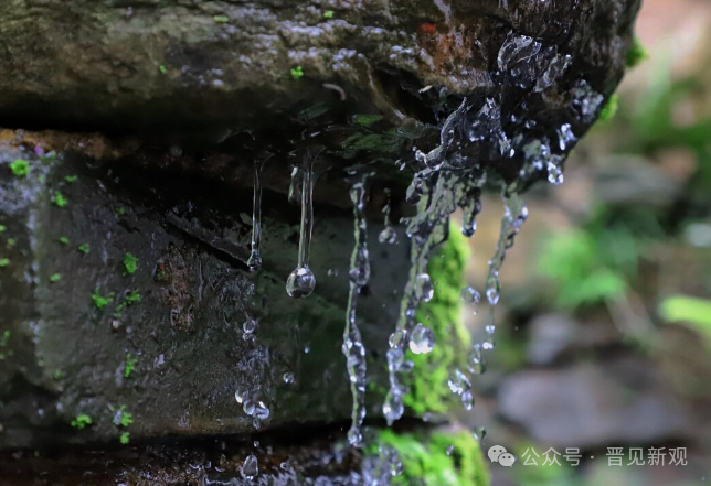 荤腥指什么_荤腥指什么_荤腥指什么