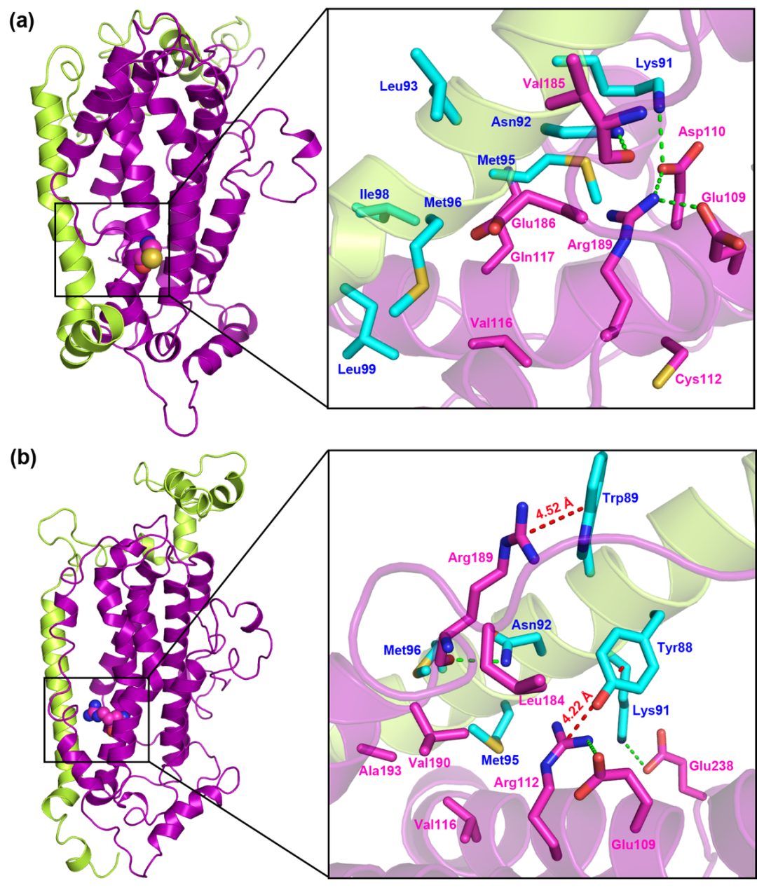 技术邻周报Q11：单元选择/LS-DYNA模态分析/iSolver/流固耦合/ABAQUS/跌落分析/CFD/散热/DEFORM的图6