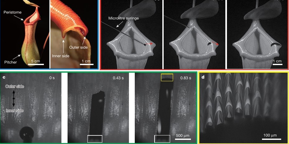 技术邻周报Q14：时程分析/ABAQUS/动力系统/Fluent/冲压分析/振动噪声/LS-DYNA/气动分析...的图10