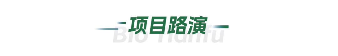旅游宣传清新大字公众号文章标题(2).png