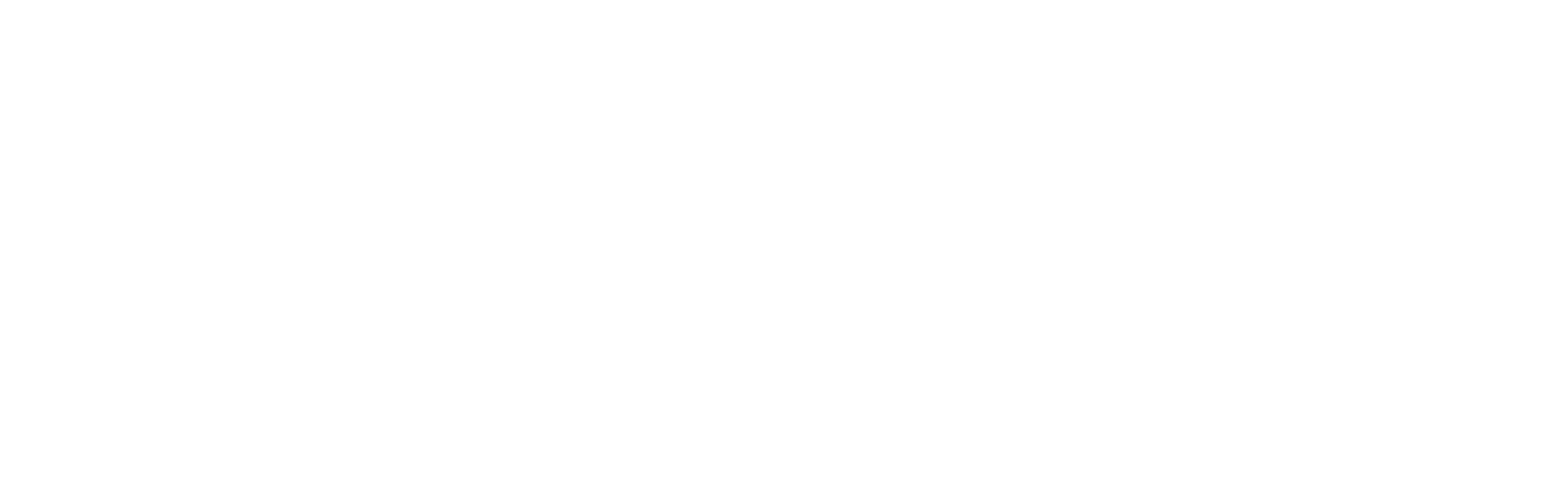  青牛智胜(深圳)科技有限公司