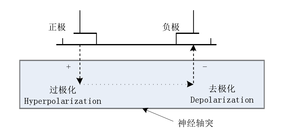中频为什么能镇痛什么？中低频治疗会有如此多的治疗作用_https://www.jmylbn.com_新闻资讯_第6张