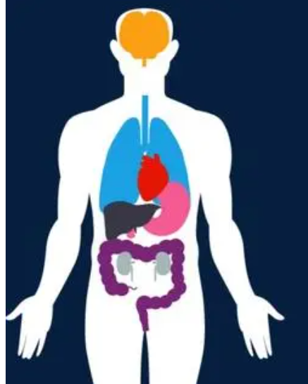微波怎么治疗高频电疗法——微波疗法_https://www.jmylbn.com_新闻资讯_第7张