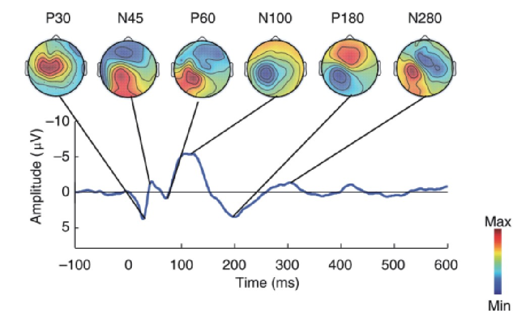 tms什么医疗经颅磁刺激—治疗之外的价值_https://www.jmylbn.com_新闻资讯_第22张