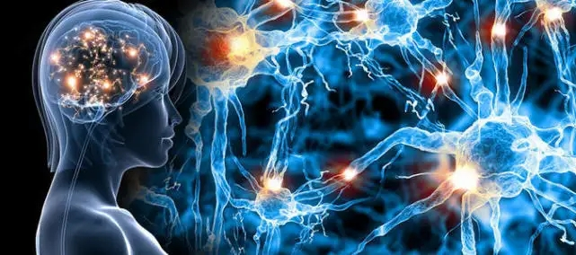 tms什么医疗经颅磁刺激—治疗之外的价值_https://www.jmylbn.com_新闻资讯_第7张