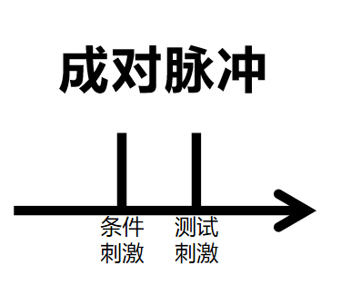 tms什么医疗经颅磁刺激—治疗之外的价值_https://www.jmylbn.com_新闻资讯_第10张