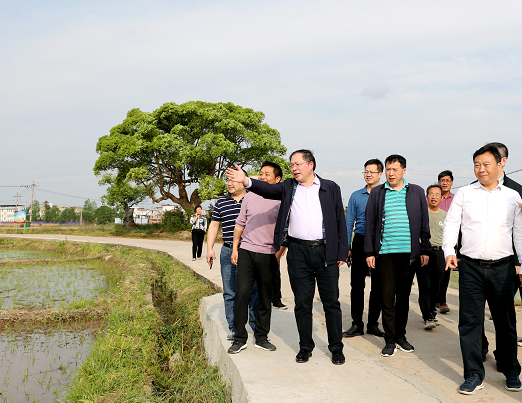 省农业农村产业发展服务中心党委书记刘长城在兴国督导调研春耕生产