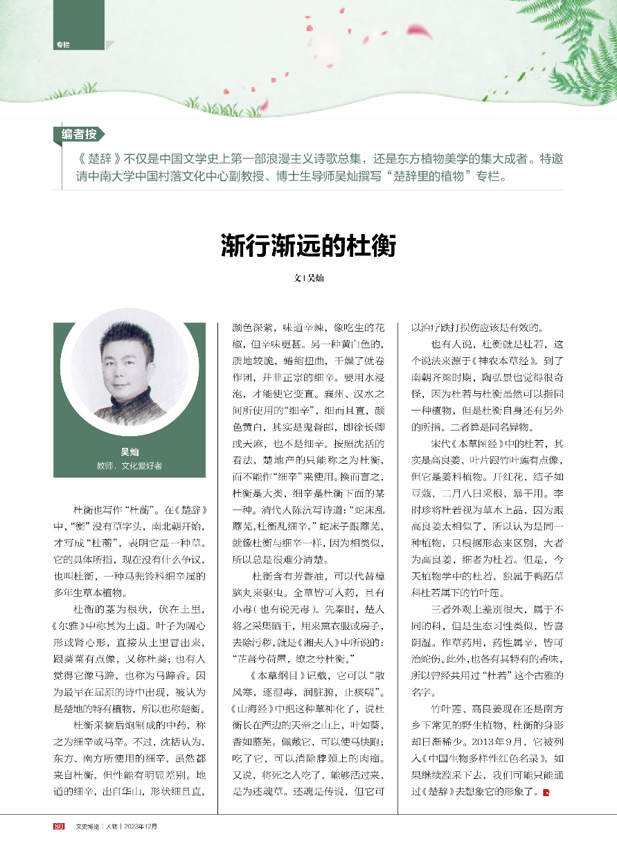 楚辞中的杜衡：渐行渐远的香草记忆
