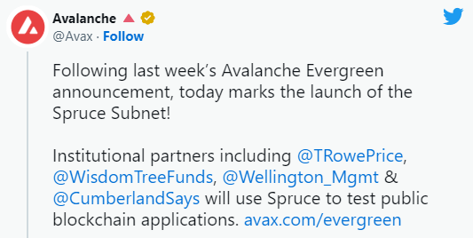 在现在的山寨季里哪些潜力币最值得关注？