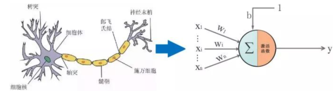 AI快速入门必读