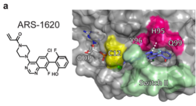 全球首个KRAS抑制剂——Sotorasib的研发上市之路 - 脉脉