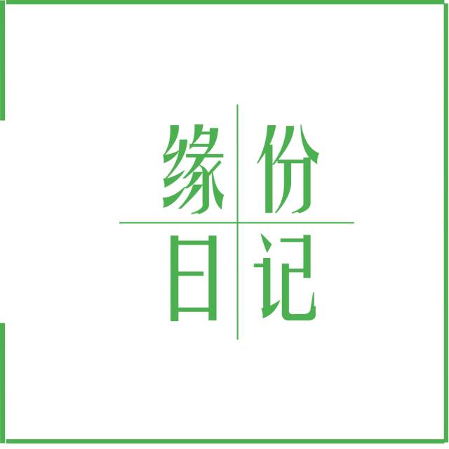 17种动物怀孕期间的X光照片,乍看之下太惊悚了!