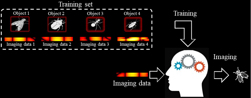 智能成像，助力探索新型光学显微成像模式 行业新闻 第2张