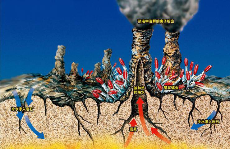 新知丨深海秘境——海底热泉和冷泉