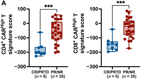 重大发现 | 高密度CAR或将显著限制CAR-T疗效！附临床分析 - 脉脉