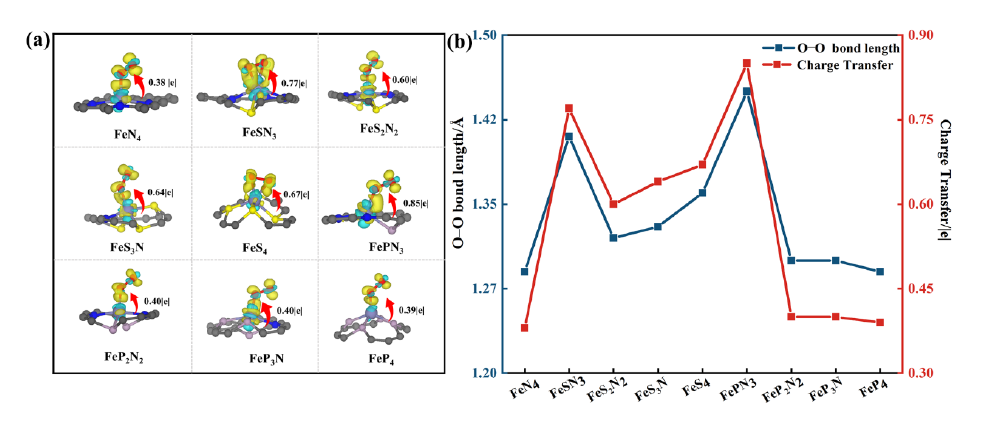 【纯计算】ChemSusChem：构建用于高性能氧氧化还原反应Fe单原子催化剂中的N，S和N，P共配位