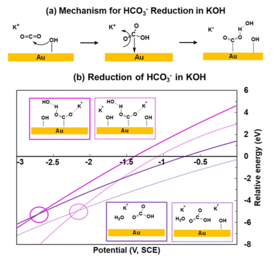 【计算文献解读】ACS Catalysis：KOH浓度的影响和OH–在CO2电催化还原中的作用