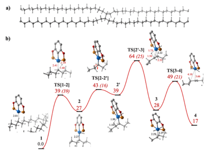 【纯计算】ACS Catalysis：均相催化