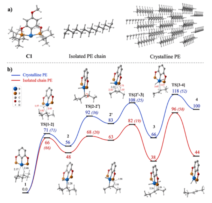 【纯计算】ACS Catalysis：均相催化