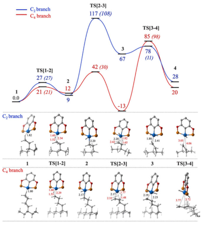 【纯计算】ACS Catalysis：均相催化