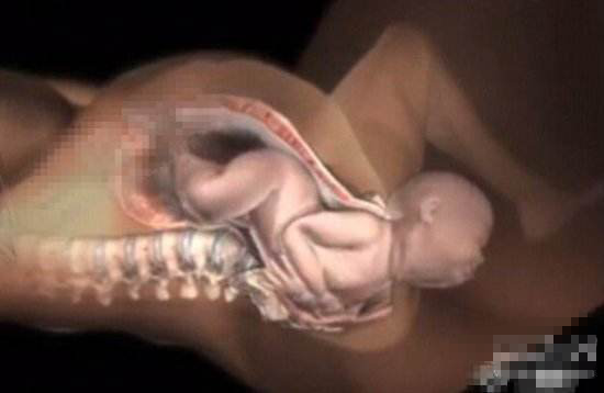 产程三维导航是什么分娩导航来帮忙，顺产不慌张！_https://www.jmylbn.com_新闻资讯_第3张