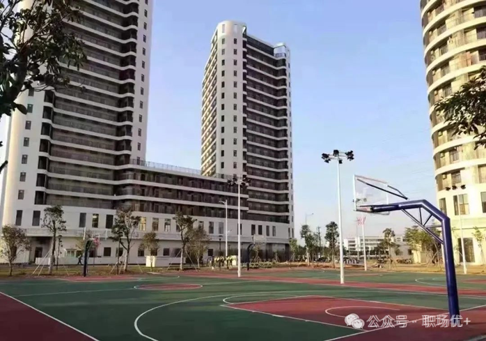 招工_招工最新招聘信息_茌平招工2017工厂招工