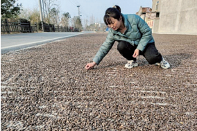 致富经养鹅视频_养鹅致富经视频_养鹅视频大全