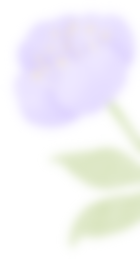 pmp 英文报名_报名英文_托福报名英文地址 北京科技大学