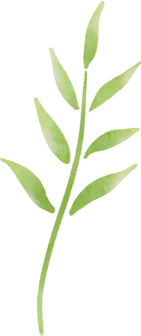 pmp 英文报名_托福报名英文地址 北京科技大学_报名英文