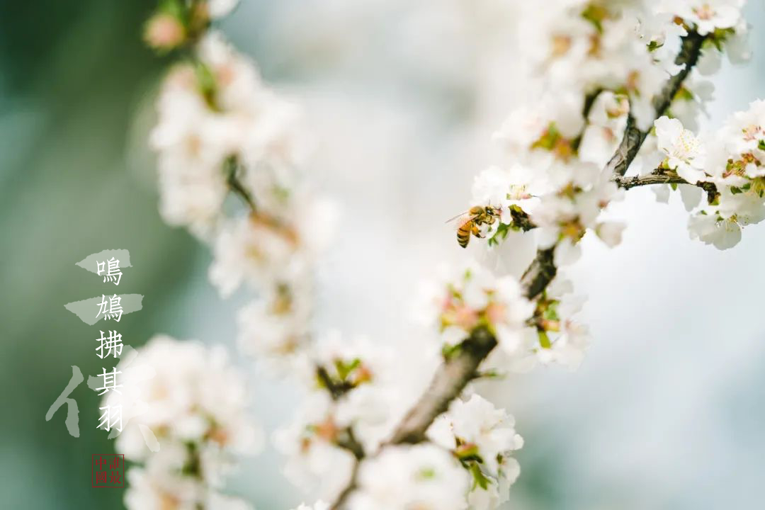 艺术与设计 谷雨